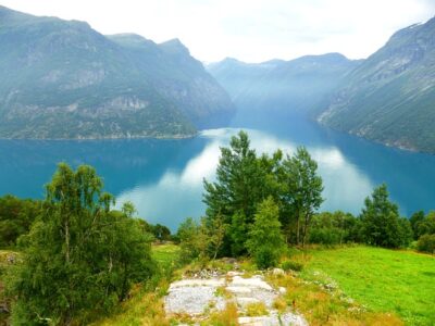 Wandelcoaching voor Burn-out en Stress: De Kracht van Menselijk Contact in de Natuur