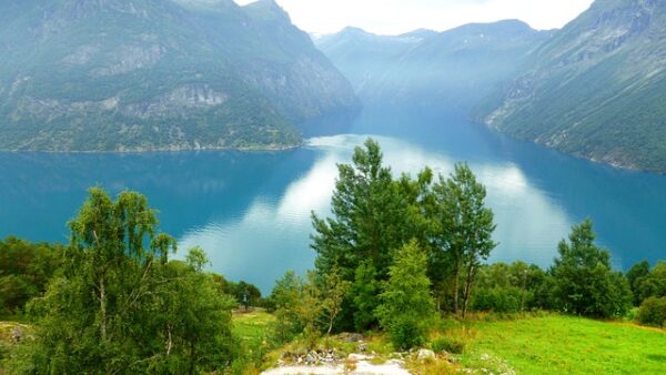 Wandelcoaching voor Burn-out en Stress: De Kracht van Menselijk Contact in de Natuur